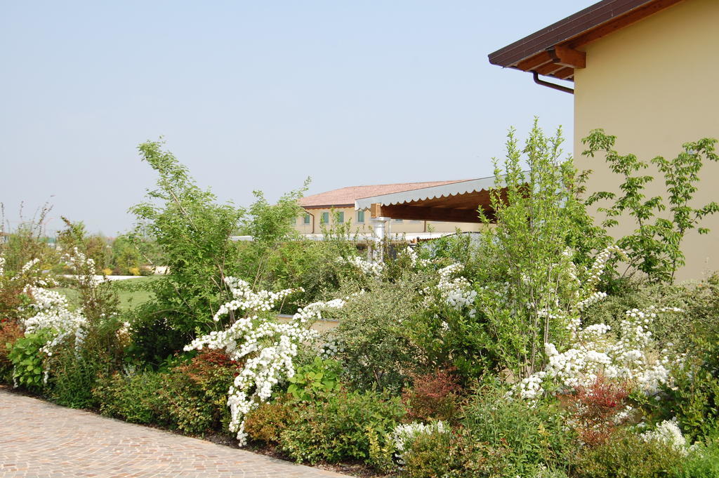 Hotel Motel Gold Calcinate Εξωτερικό φωτογραφία